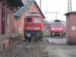 232 022-4 und 189 ...  Jens Baumhauer 01.03.2009