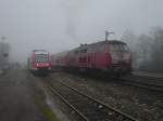 Diesellok der DB-Baureihe 218 ...  Daniel Siegele 04.03.2009