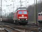 Eine Ludmilla in K�ln-Gremberg. ...  Dieter Schumacher 15.03.2009