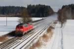 218 404 und 445 ...  Mirko Kiefer 16.03.2009