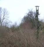 Hier siewht man das Einfahrvorsignal von Holzminden an der ex ...