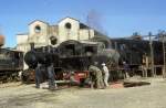 202 004 Asmara 06.02.05  ...