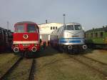 BR 130 002-9 und ...  Maik Leiter 23.03.2009