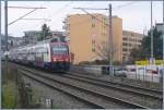 RABe 514 035-5 kommt von Urdorf her in Z�rich Altstetten ...