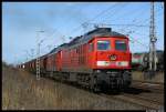 232 245 + 232 ...  Steffen Schulz 07.04.2009