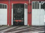 Durch die T�r geluckt.
051 ...  Frank Kropp 07.04.2009