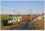 em-werbeloks �BB 1116 264 (EM-Spinatlok) bespannte am 11.4.2009 den 54605. Hier an der bekannten Stelle bei Gramatneusiedl.