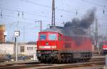 ... und setzt um. Fotografiert am 04.04.09 im Rbf Gro�korbetha. ...