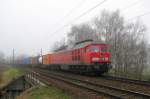233 572-7 fährt am 1.04.09 mit einem Containerzug durch das ... 233 572-7 fährt am 1.04.09 mit einem Containerzug durch das ...