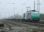 FRET 437028 in Ratingen-Lintorf ...  Dominik Eimers 13.04.2009