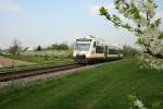 Triebzug VT 532 Lauterbach der OSB am 14.4.2009 zwischen Urloffen ...