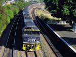 9019 & ...  Stefan Paulick 05/2002