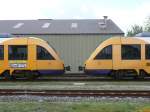 22.04.09,Winterswijk/NL,syntus-Lint 41,Nr.22 und Nr.42.   ...