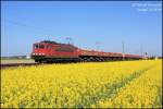 Der Fr�hling ist da und die Rapsfelder laden wieder zum ...