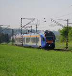 427 004, Flirt der Cantus, gleitet durch ein gr�nes Meer. ...