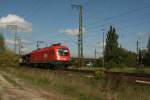 1116 268 zieht ein ...  Raik Peters 29.04.2009