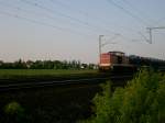 Dieses Bild zeigt eine ...  Tim Matthias Wassmann 02.05.2009