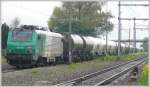Die Prima Lok 437037 der SNCF/Fret wartet ebenfalls in Buchs ...