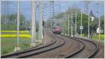 re-4-4-ii-re-420 RE3811 mit Re 4/4 II 11245 zwischen Bad Ragaz und Maienfeld. (03.05.2009)