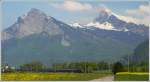 re-460-mit-zugen IR 1765 mit Gonzen 1830m und Gauschla 2310m. (03.05.2009)