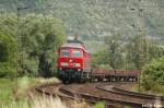 233 219-5 zwischen Naumburg ...  Steve Kaiser 06.05.2009