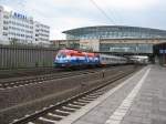 Am 14.05. 09 hatte ich endlich Gl�ck!! Kroatien Tauri jagt mit ...
