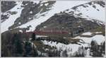 BerninaExpress 953 in der Kurve von Alp Gr�m. 40 Marschminuten ...