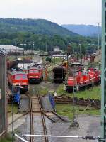 Der bekannte Blick auf das Bw Saalfeld am 13.5.2009. Zusehen ...