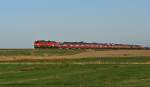 218 190-7 und 218 ...  Julian D�ll 15.05.2009
