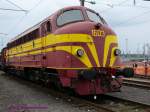 Die Rundnase CFL-1603 bei ...  Arnulf Sensenbrenner 16.05.2009
