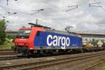 SBB Cargo 482 016 am 16.5.09 in Duisburg-Entenfang  ...