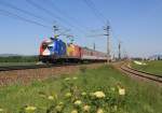 1x16-werbeloks 1116 056 'Rum�nien' unterwegs mit dem EC101 Joze Pleznik auf der Westbahn bei H�rsching. Aufgenommen am 17. Mai 2009.