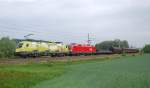 Die Ochsen 1116 033 und 1116 276
haben am 19.05.2009 den ... Die Ochsen 1116 033 und 1116 276
haben am 19.05.2009 den ...