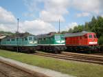 BR 234 Russisches Gro�diesellok Treffen beim VSE Schwarzenberg am 23.05.09.Mit 234 304-4,V300 005 und MEG 316 (ex 232 010-9)