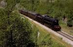 685 089  Fantino ...  Hansj�rg Brutzer 24.05.2009