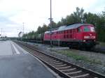 233 321 mit M�llzug ...  Michael Luy 24.05.2009