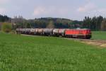 233 040 mit CFN 63172 in Riedles (22.04.2009) ... 233 040 mit CFN 63172 in Riedles (22.04.2009) ...