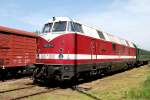 118 776 als FDJ-Lok ...  Kai Gl��er 28.05.2009