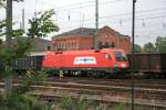 1116 239-3 am 28.05.09 im Bahnhof Guben. Auf speziellen Wunsch ...