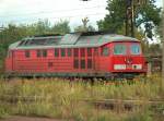 DB 233 652-7 in Gro�korbetha; 04.09.2008  ...