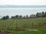Bodenseeblick am 23.Mai 2009 in der N�he von Nu�dorf. Das ...