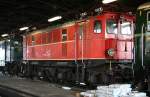 Bild sechs. Der seltene Gast 1245.525 am 19. Mai im ... Bild sechs. Der seltene Gast 1245.525 am 19. Mai im ...