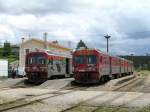 Triebwagen 9636 (links) und ...  Hans-Joachim Str�h 10.06.2009