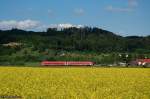 br-611-neigetechnikzuge Brenzbahn-Fr�hling 2009 - Ein unerkannter 611er ist am Nachmittag des 19.05.09 als IRE 3232 von Ulm Hbf nach Aalen unterwegs, aufgenommen zwischen Heidenheim-Schnaitheim und Itzelberg.