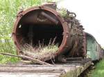 Die Natur breitet sich ...  Stefan G�llner 12.06.2009