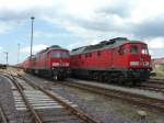 BR 233 127-0 (gerade aus Forsthaus Eiche eingefahren) neben BR ...