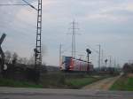 Hier fährt die 425-251 am 28.03.2005 über den Wormser Bahnübergang ... Hier fährt die 425-251 am 28.03.2005 über den Wormser Bahnübergang ...