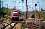 Zwei Falfische sind am 13.06.09 in Weimar unterwegs. W�hrend links ...