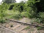 Im Stillgelegten Rangierbahnhofsbereich Buggingen.
�berreste ...  Benjamin Kandzia 21.06.2009