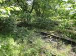 Im Stillgelegten Rangierbahnhofsbereich Buggingen.
�berreste ...  Benjamin Kandzia 21.06.2009